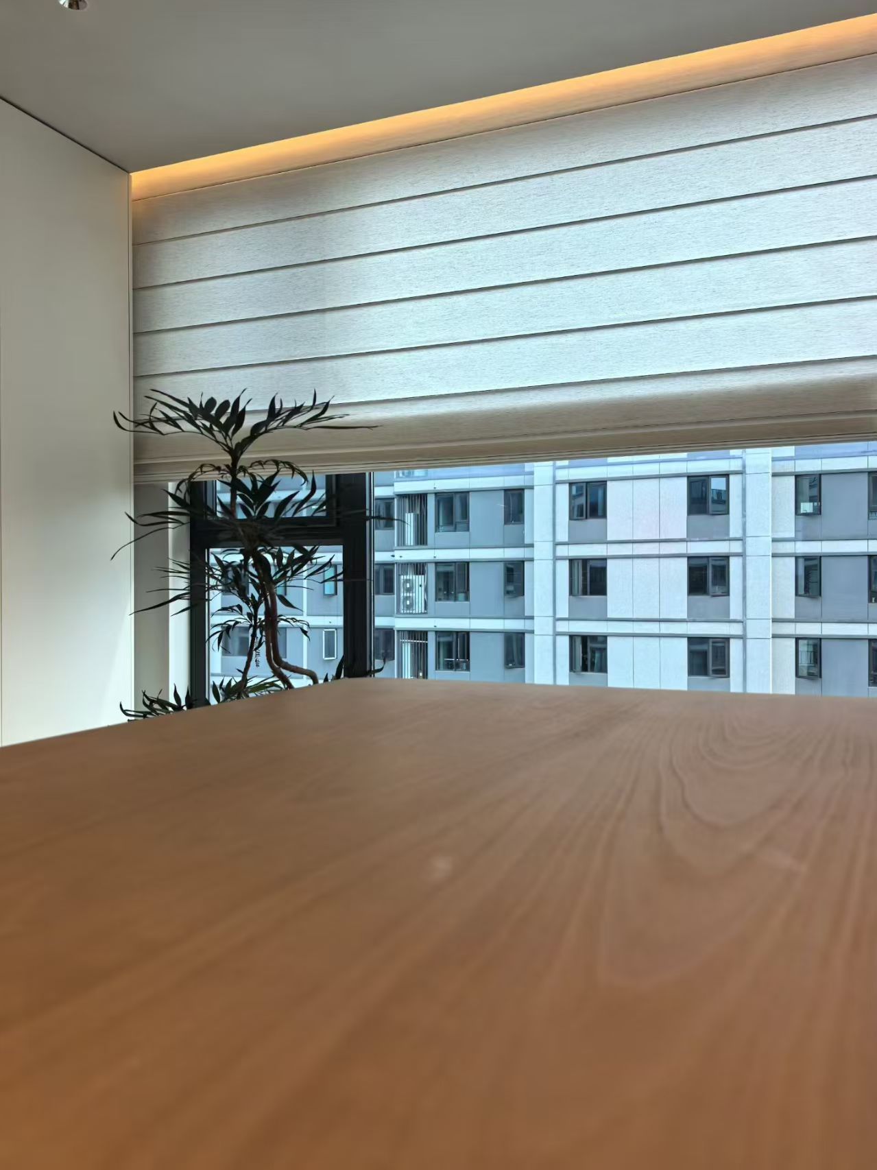 办公室、休息室罗马帘